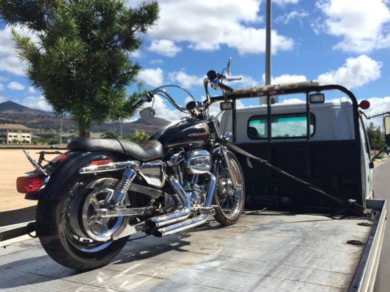 bikes